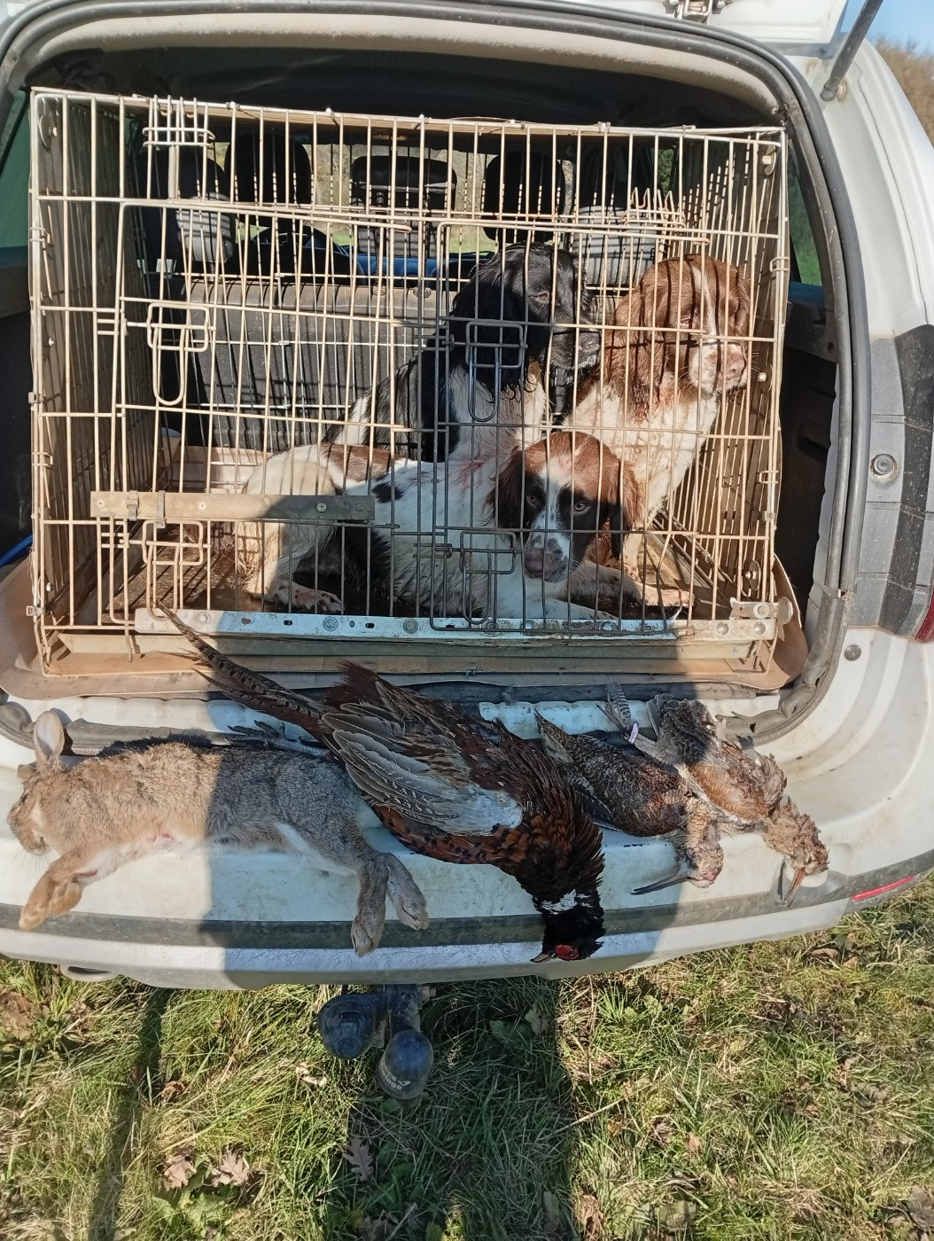 Petite matinée en Ardèche
